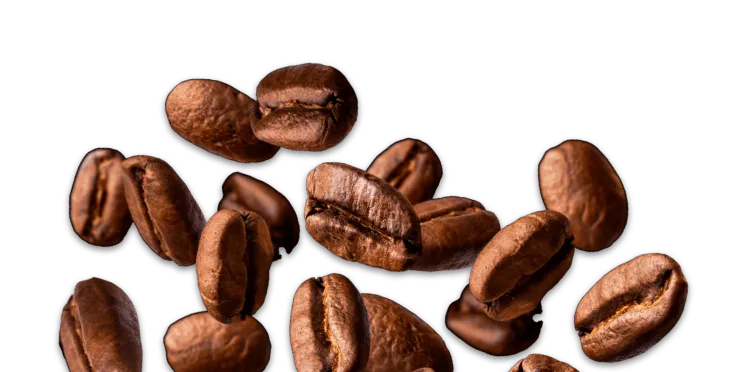 Scattering of coffee beans