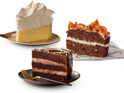 Cake Slices
