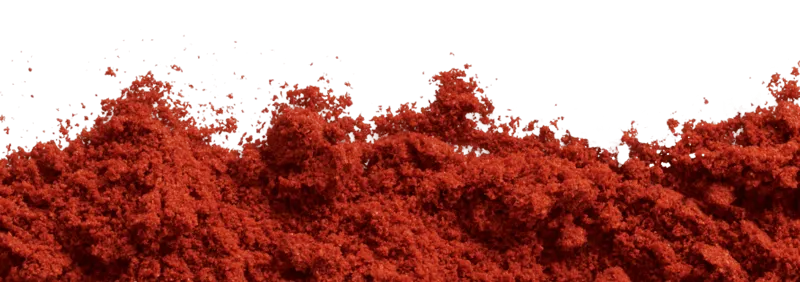 Spice powder