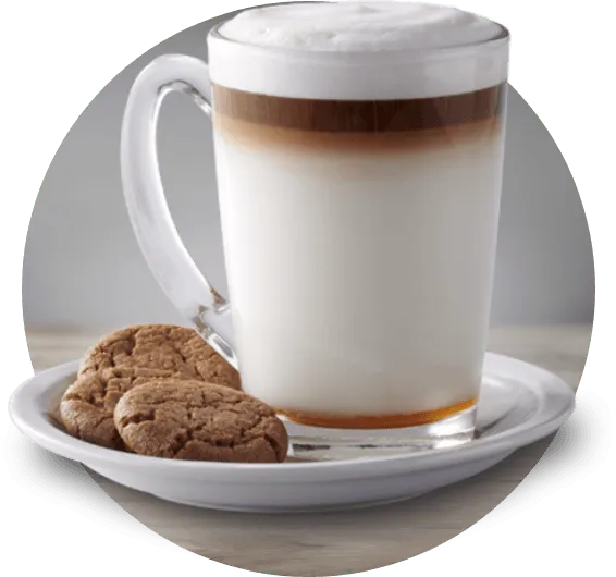 A creamy gingerbread latte, topped with whipped cream 