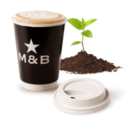 Takeaway coffee and a little plant