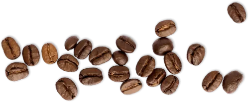 Coffee beans on white table