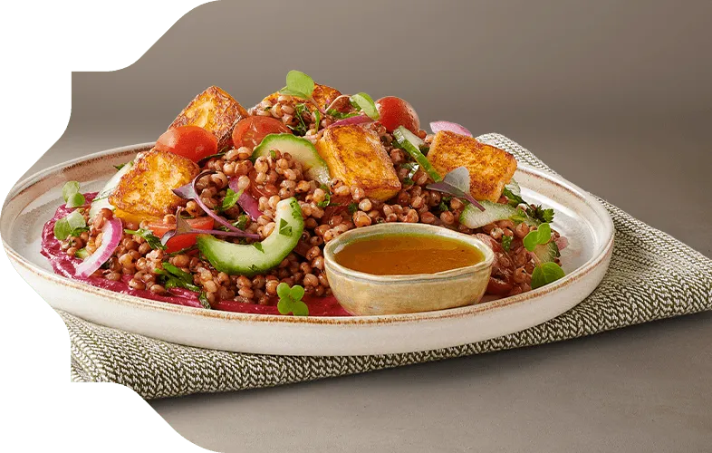 Vitality Salad Platter on a napkin Vitality Salad Platter on a napkin