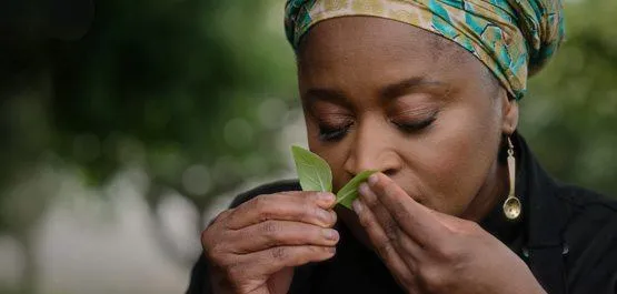 Chef Mokgadi smelling a green leaf