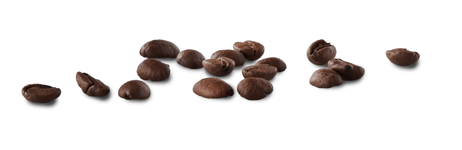 Coffee beans Coffee beans