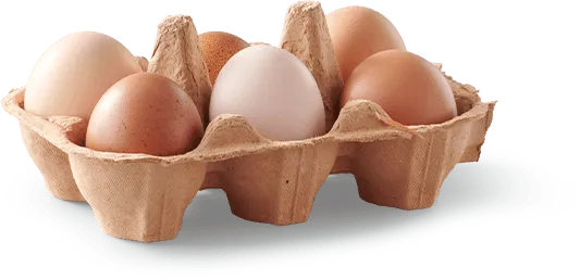 A tray of eggs