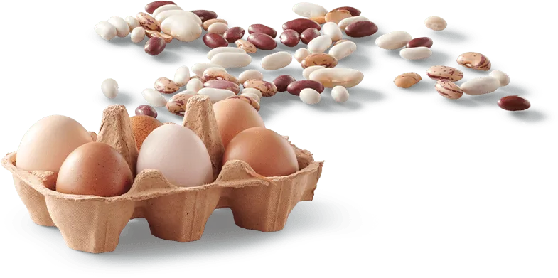 Egg and Beans