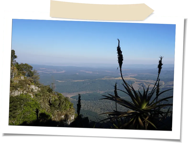 View from mountain