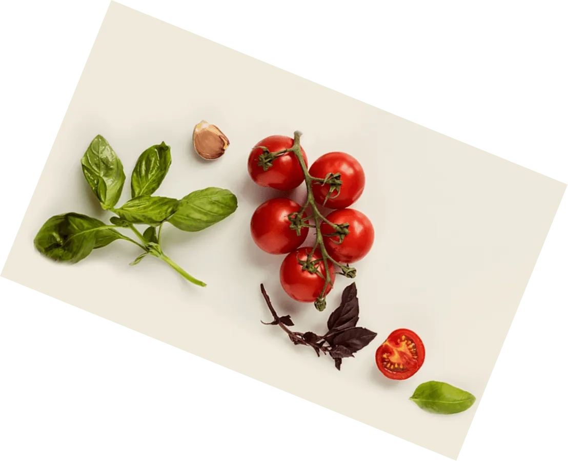 tomato basil and garlic on white background