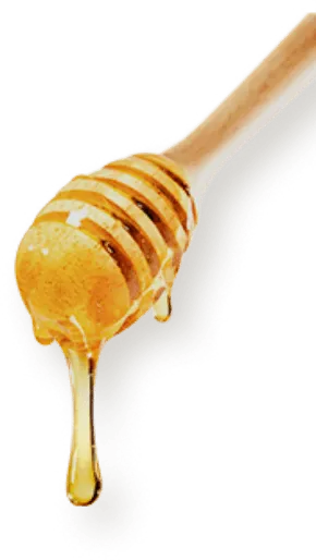 Honey Stick Honey Stick