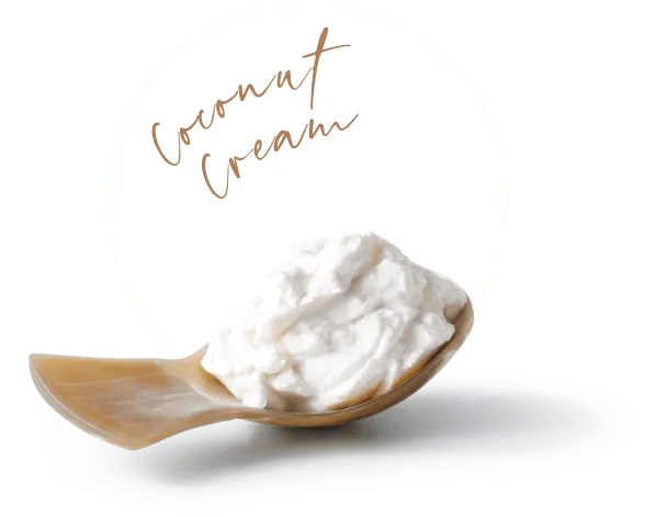 Coconut Cream