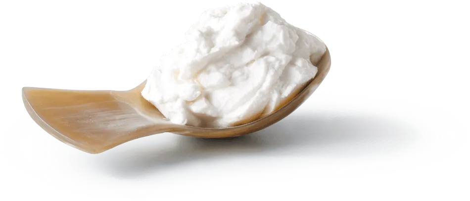 Coconut paste on a spoon