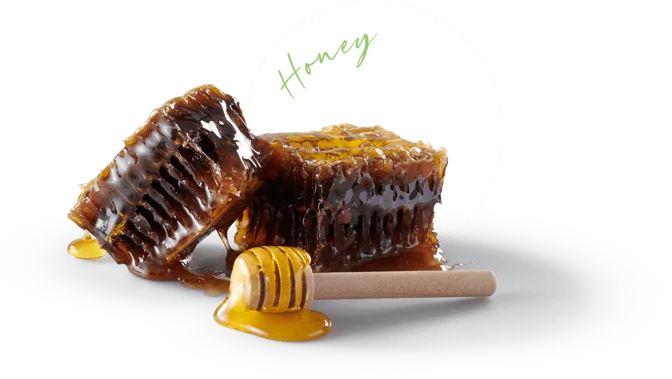 Honey Ingredient
