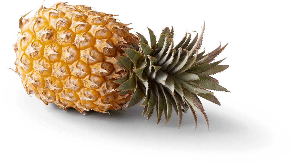 Whole Pineapple