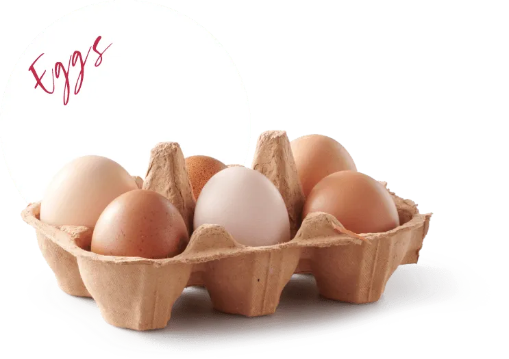 Egg Ingredient