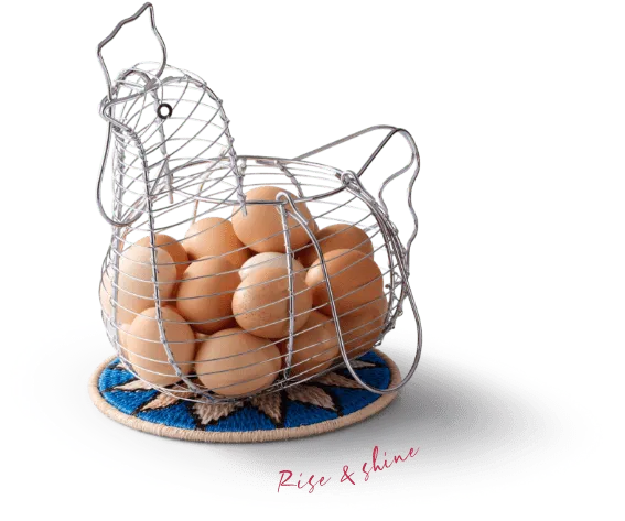 Eggs in a wire chicken