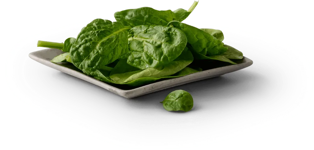 Raw spinach on a plate