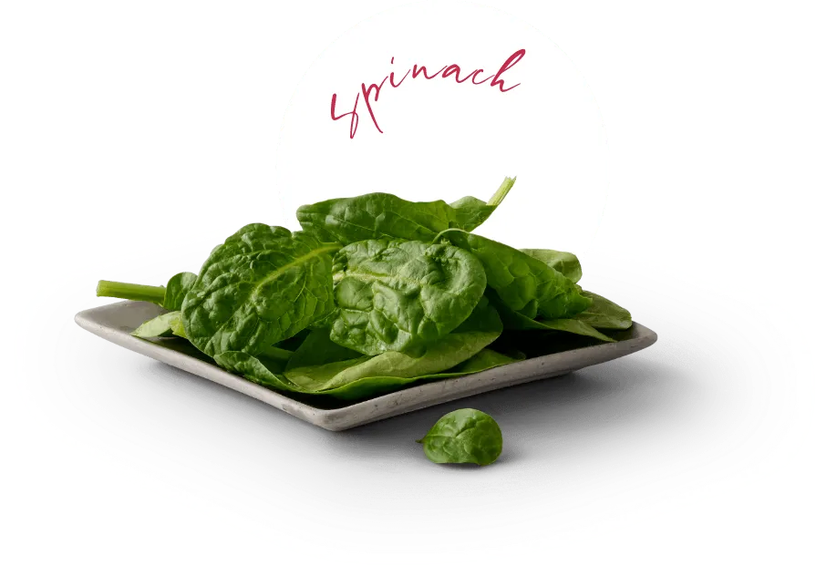 Spinach Ingredient