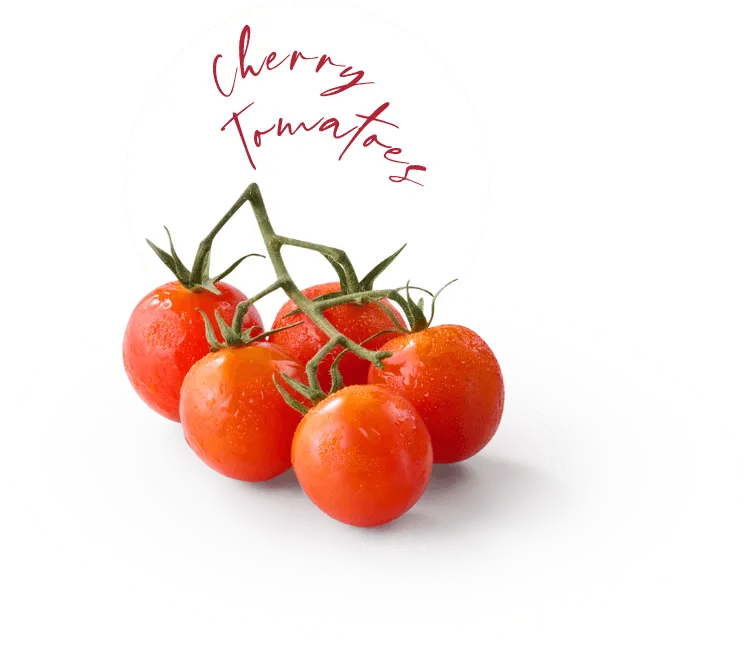 Cherry Tomato Ingredient