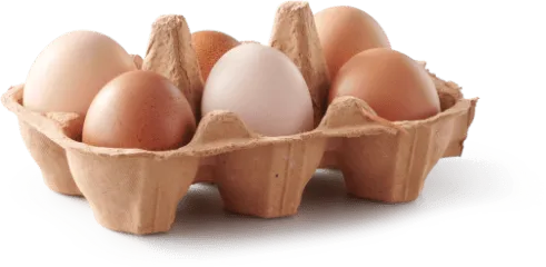 Group of ingredients for sweet potato breakfast