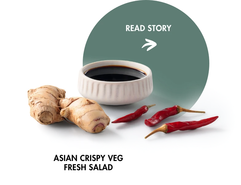 Asian Crispy Veg Fresh Salad Hover