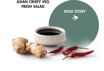 Asian Crispy Veg Fresh Salad