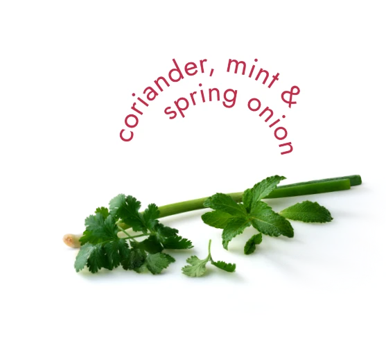 Coriander