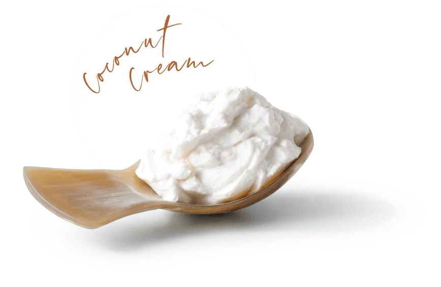Coconut Cream Flavour