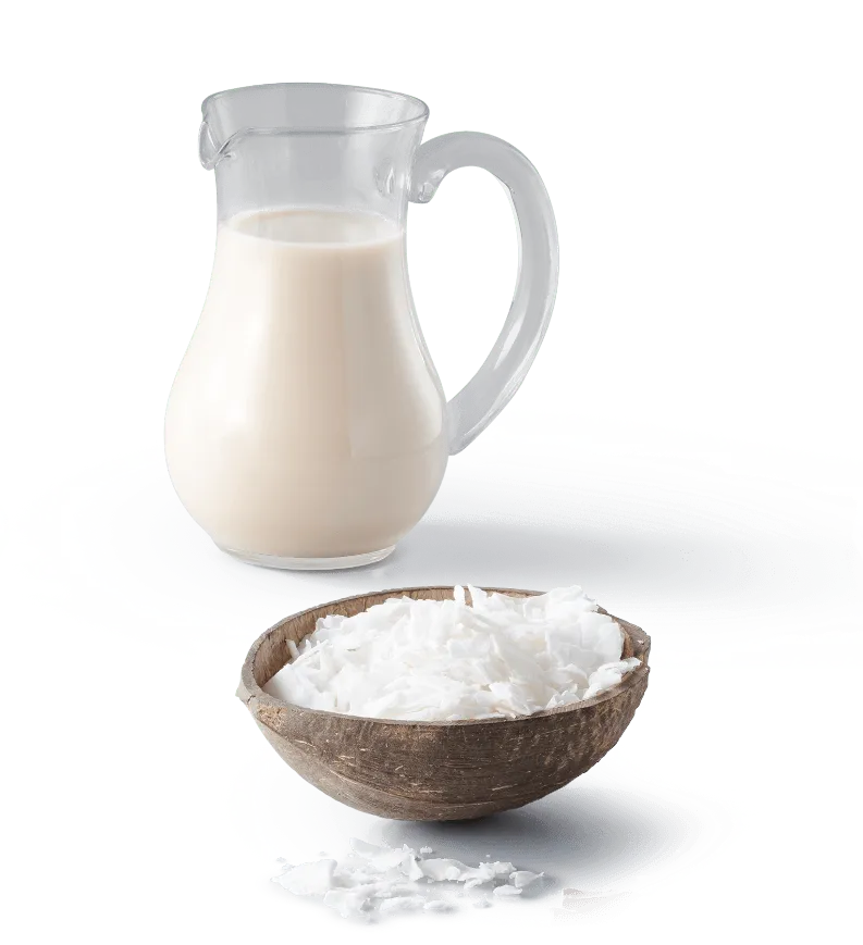 Coconut flakes and coconut cream in a jug