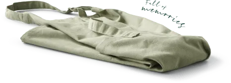 Bag on a white background