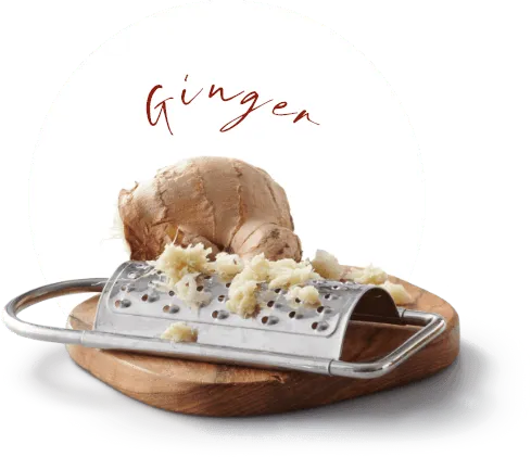 Ginger