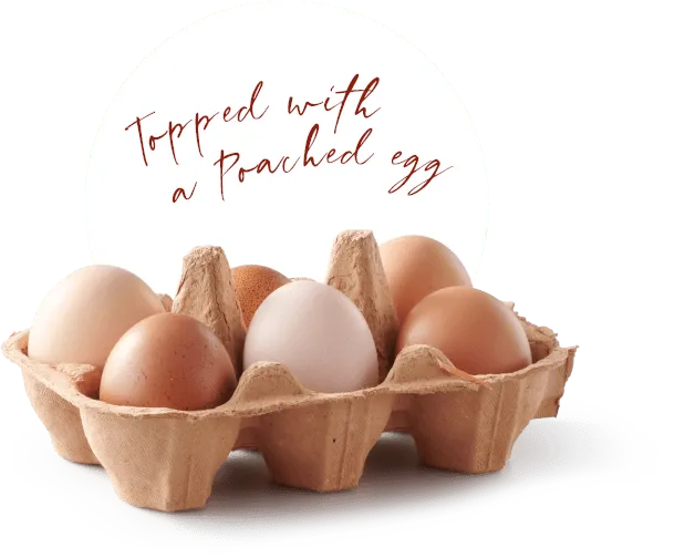 Tray of 6 fresh eggs