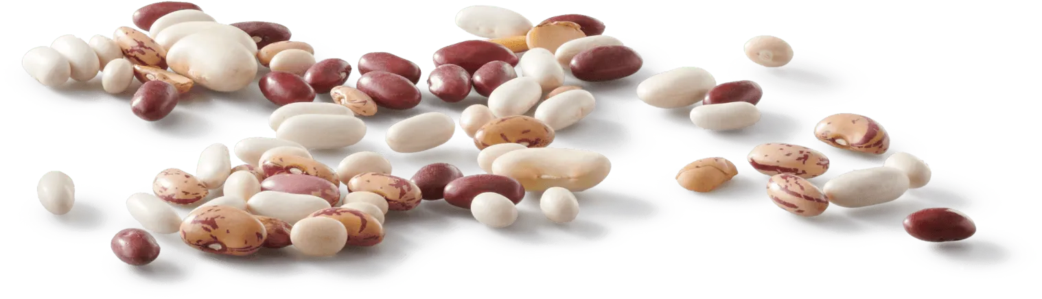 A bowl of uncooked, colorful mixed beans 