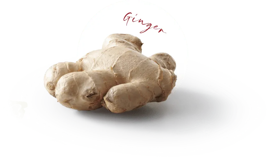 Ginger