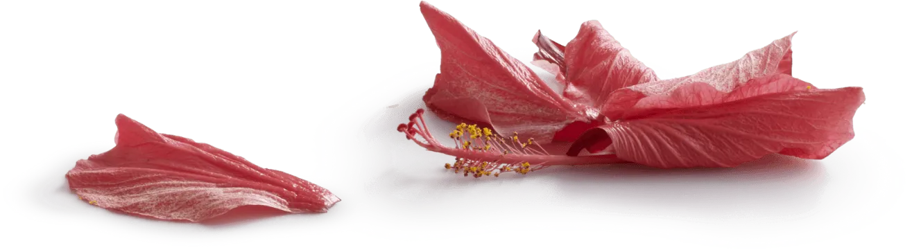 Red Leaves