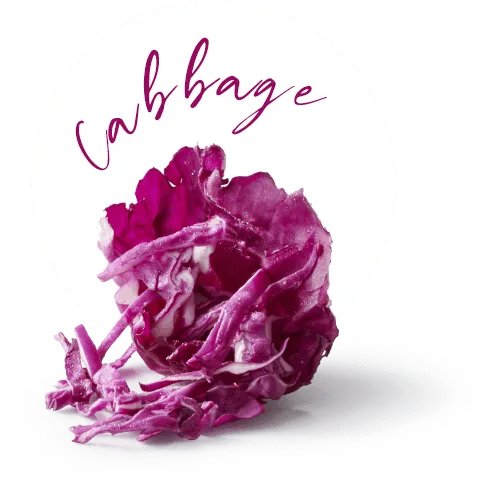 Cabbage